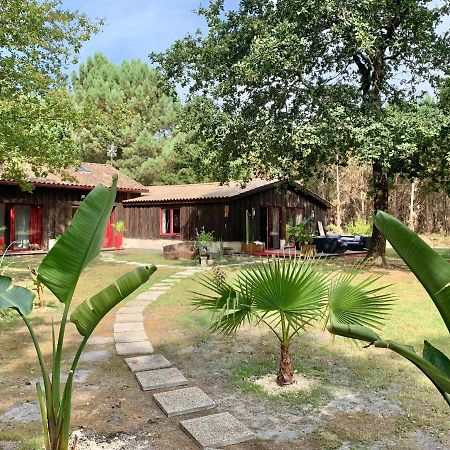Hacienda De La Canopee Avec Piscine Chauffee Au Sel Hourtin Exteriér fotografie