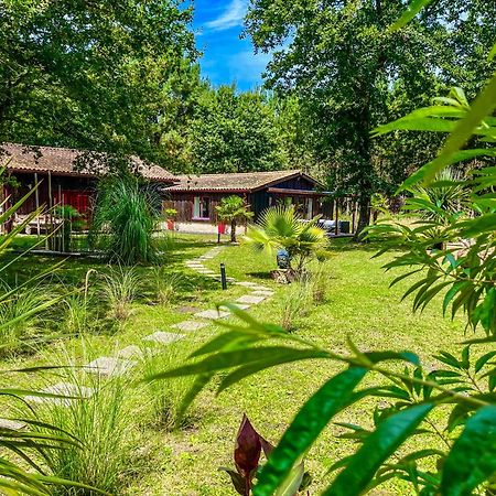Hacienda De La Canopee Avec Piscine Chauffee Au Sel Hourtin Exteriér fotografie