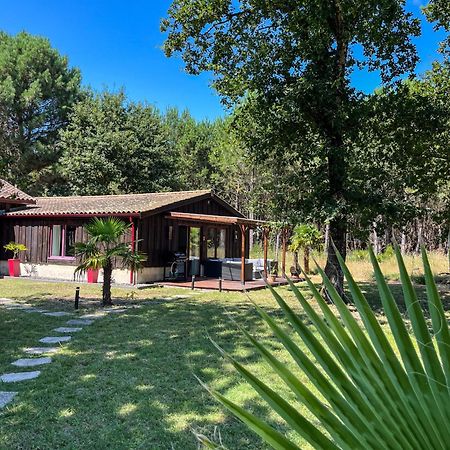 Hacienda De La Canopee Avec Piscine Chauffee Au Sel Hourtin Exteriér fotografie