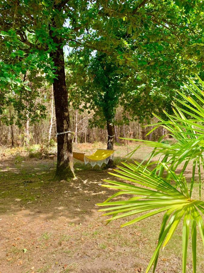 Hacienda De La Canopee Avec Piscine Chauffee Au Sel Hourtin Exteriér fotografie