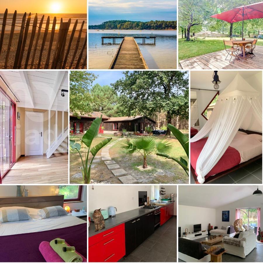 Hacienda De La Canopee Avec Piscine Chauffee Au Sel Hourtin Exteriér fotografie