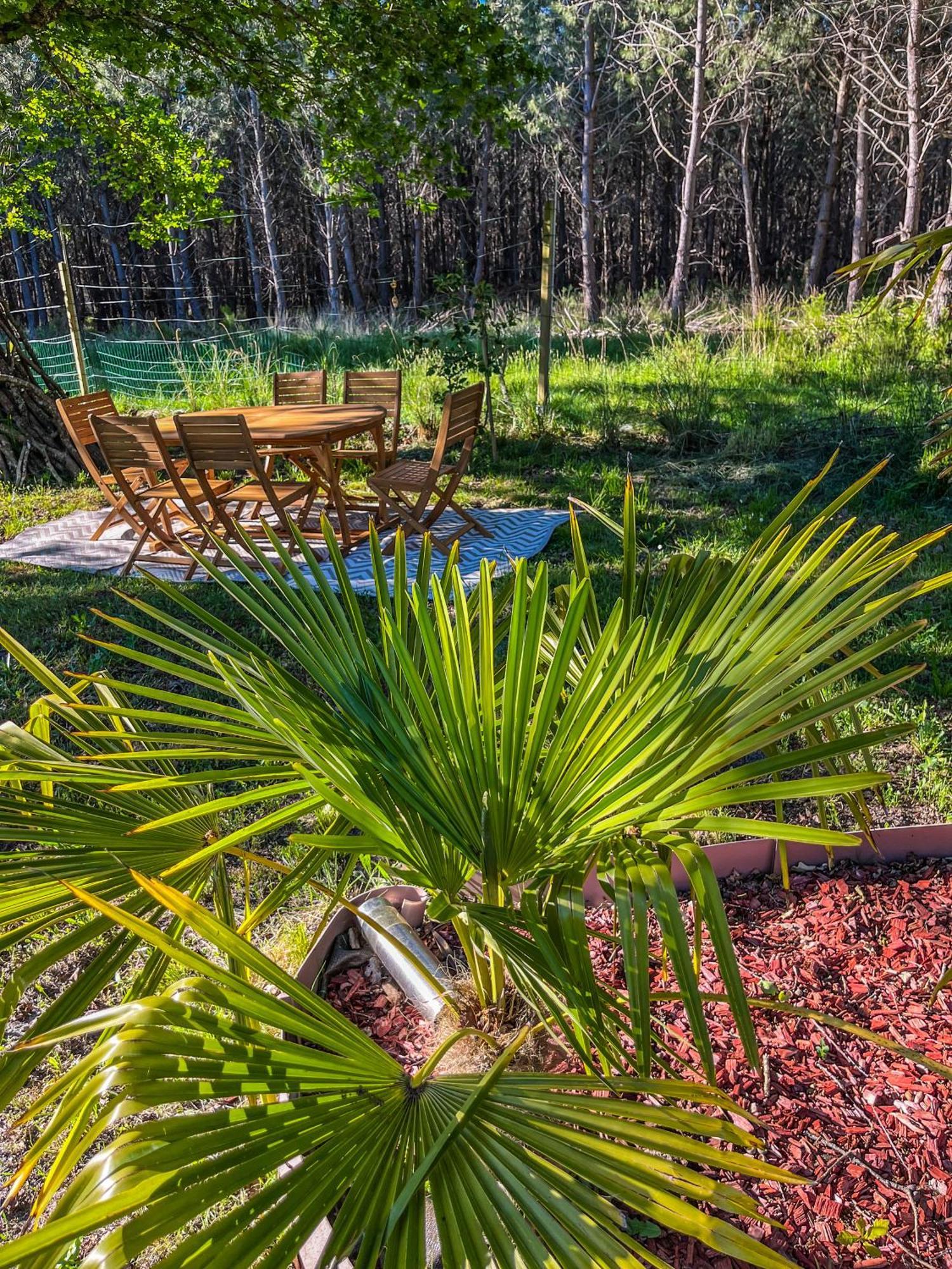 Hacienda De La Canopee Avec Piscine Chauffee Au Sel Hourtin Exteriér fotografie