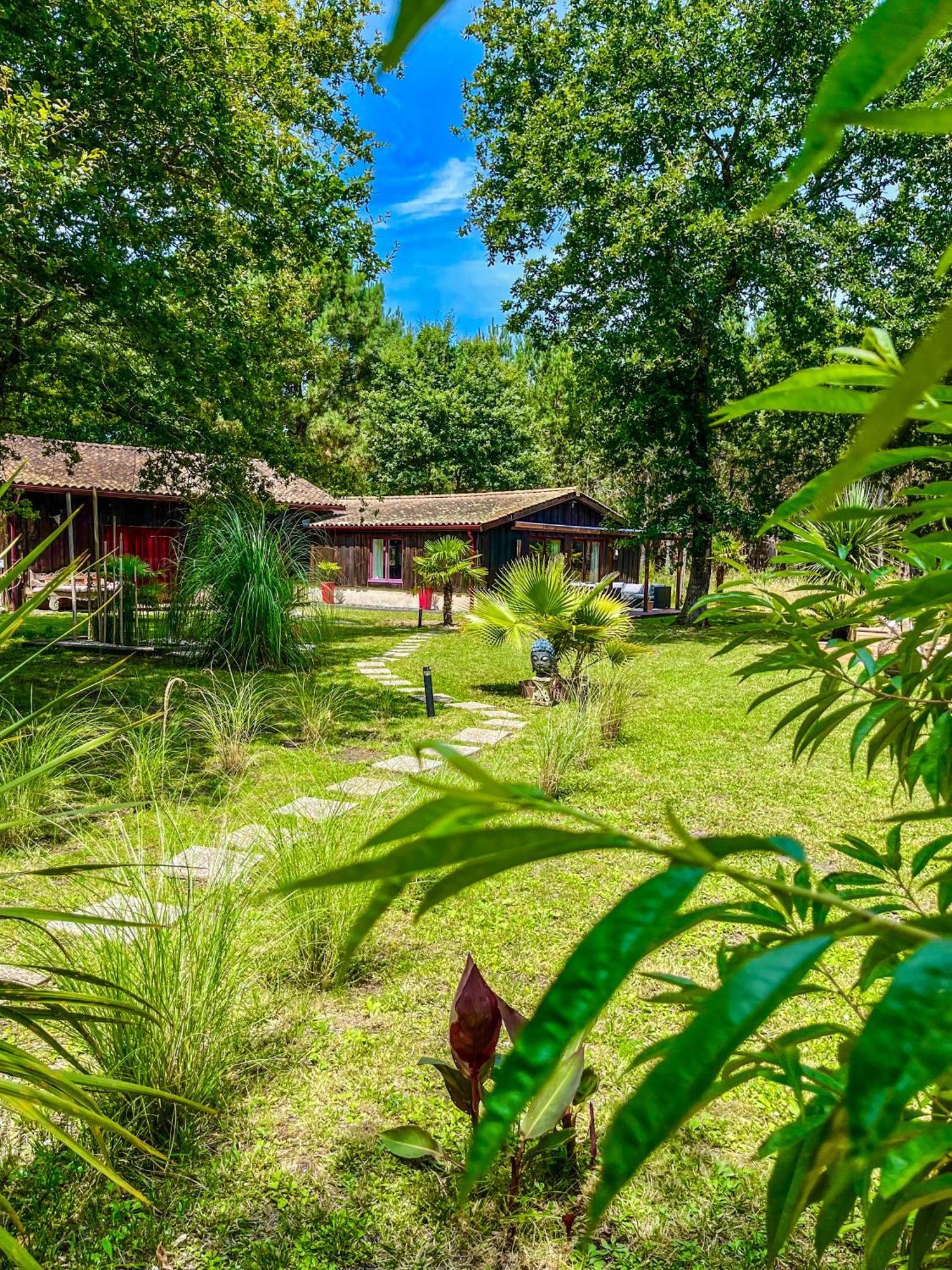Hacienda De La Canopee Avec Piscine Chauffee Au Sel Hourtin Exteriér fotografie